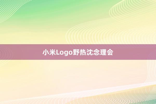 小米Logo野热沈念理会