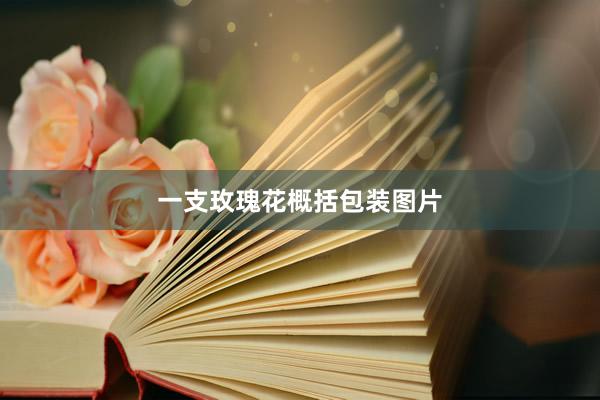 一支玫瑰花概括包装图片