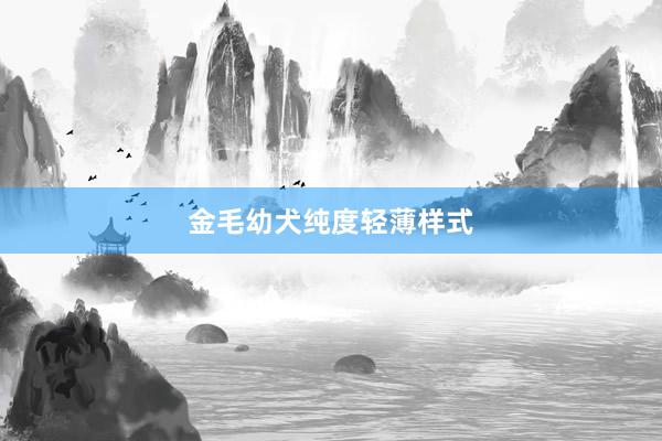 金毛幼犬纯度轻薄样式